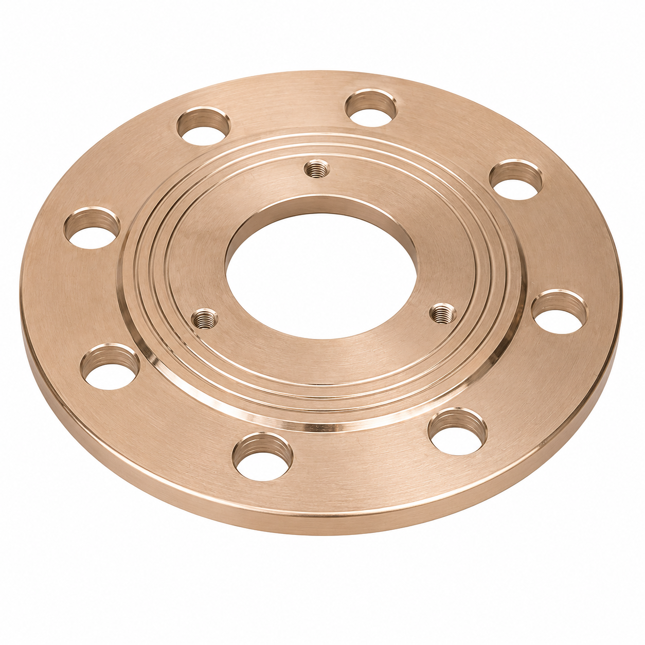 Ring Type Joint Flange